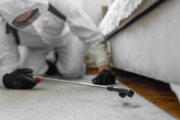 Professional Bed Bug Control technician working in Parkville, MD