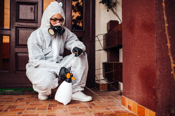 Reliable Bed Bug Control contractor in Parkville, MD by Nex Pest Control