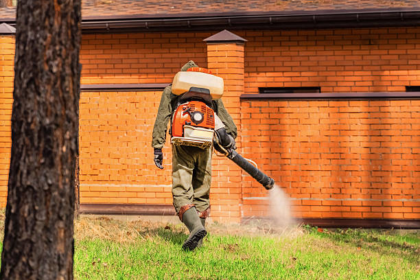 Trusted Bed Bug Control service in Parkville, MD - Nex Pest Control